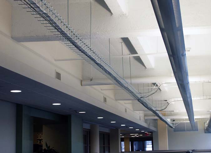 Snake Tray cable trays enhancing open ceiling workplace design with a modern, industrial aesthetic